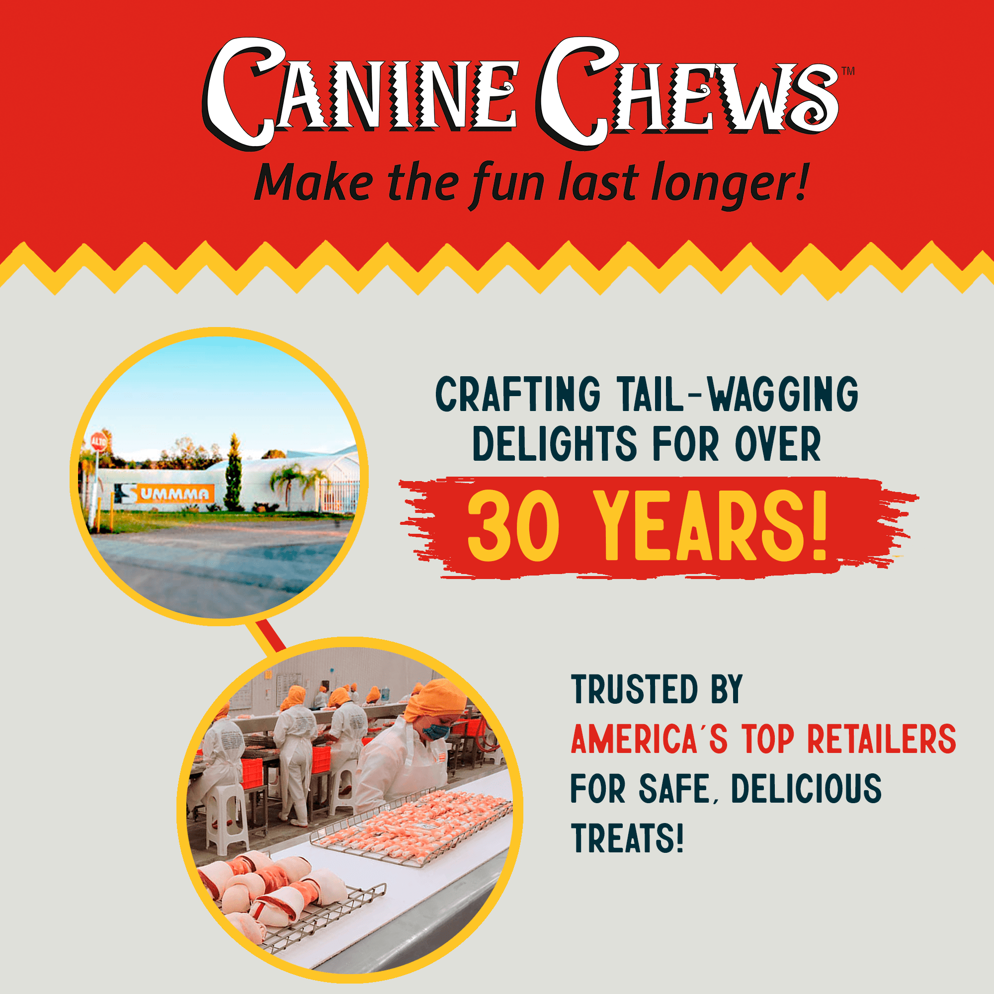 CANINE CHEWS 8-9" Beef Basted Large Rawhide Dog Bones | Retriever Roll Bones for Dog Treats | Canine Chews Beef Basted Rawhide Bones 25 Pack