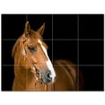 thumbnail image 1 of Horse Ceramic Tile Mural Kitchen Backsplash Bathroom Shower 402919-XL43, 1 of 3
