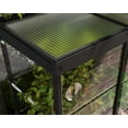 thumbnail image 3 of Palram - Canopia Ivy 4' x 2' Polycarbonate/Aluminum Mini Greenhouse - Black, 3 of 11