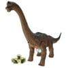 Battery Operated Walking Toy Dinosaur Brachiosaurus w/ Forward Movement, Egg Laying Action (Come With 3 Eggs), Light-Up Stomach, & Double Projection Lights