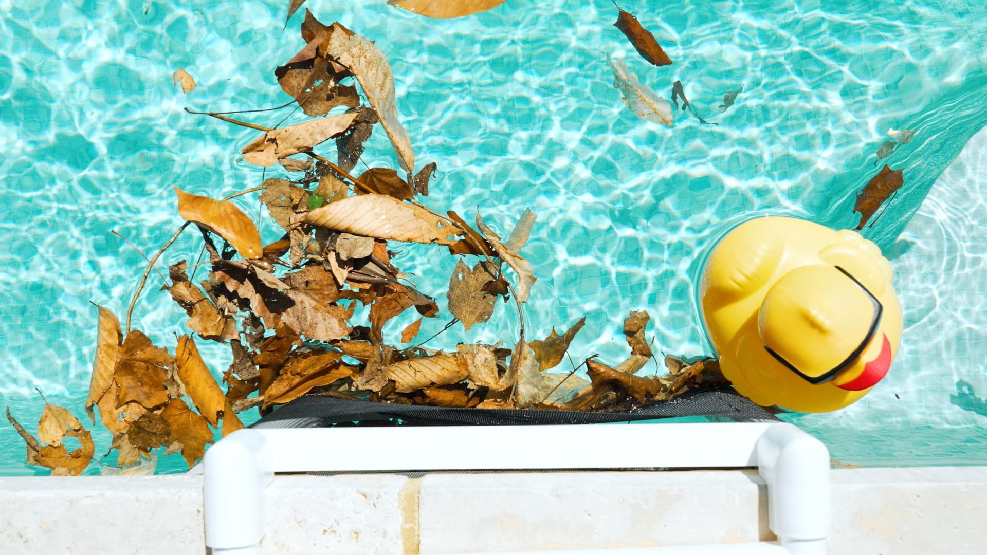 SKIMMER SAVER by Fischer Diverts leaves, Prevents Burned up Pool pumps, Snakes, Toys, Grass clippings