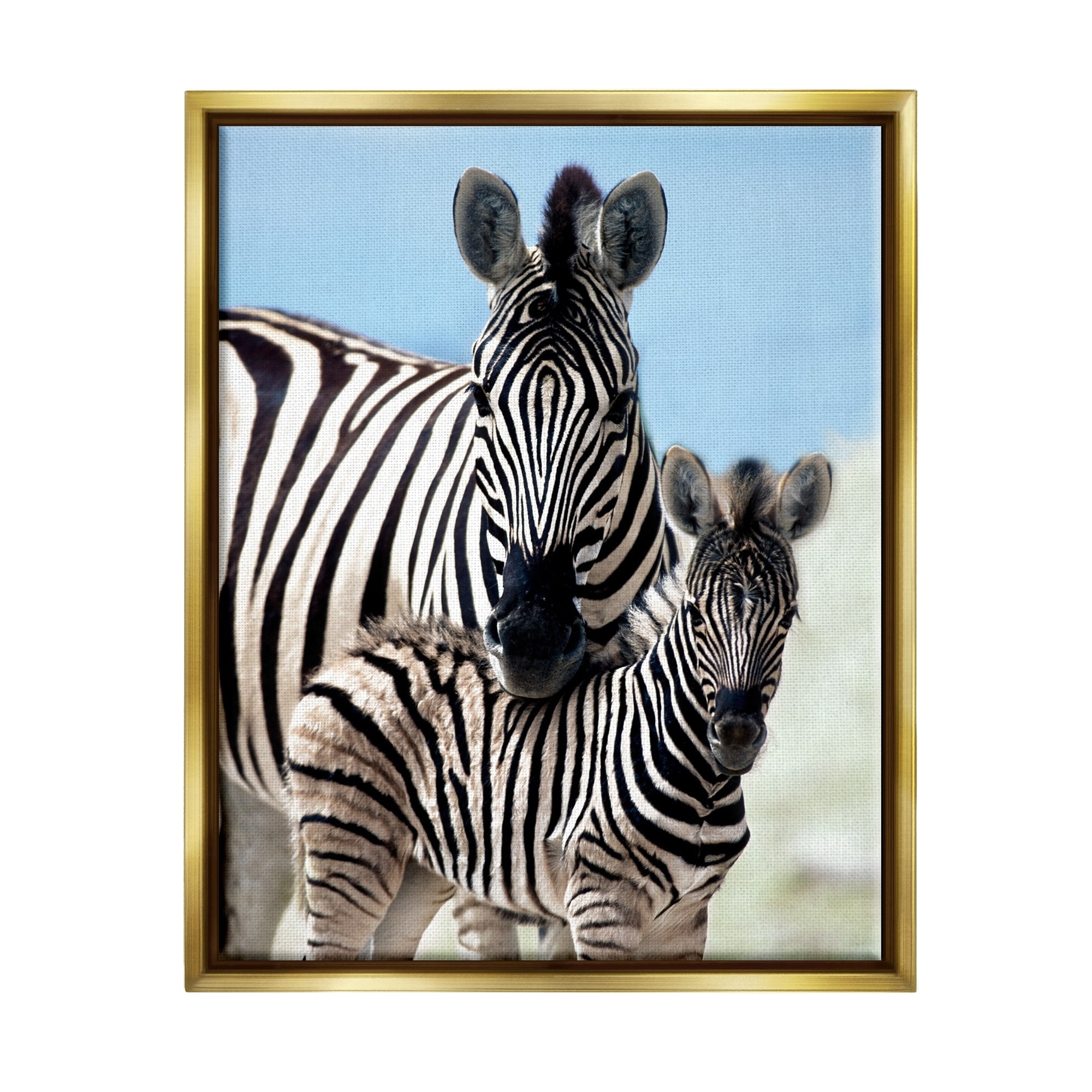 Stupell Industries Uplifting Zebra Family Mother Child Savanna Animals Photograph Metallic Gold Floating Framed Canvas Print Wall Art, Design by Danita Delimont