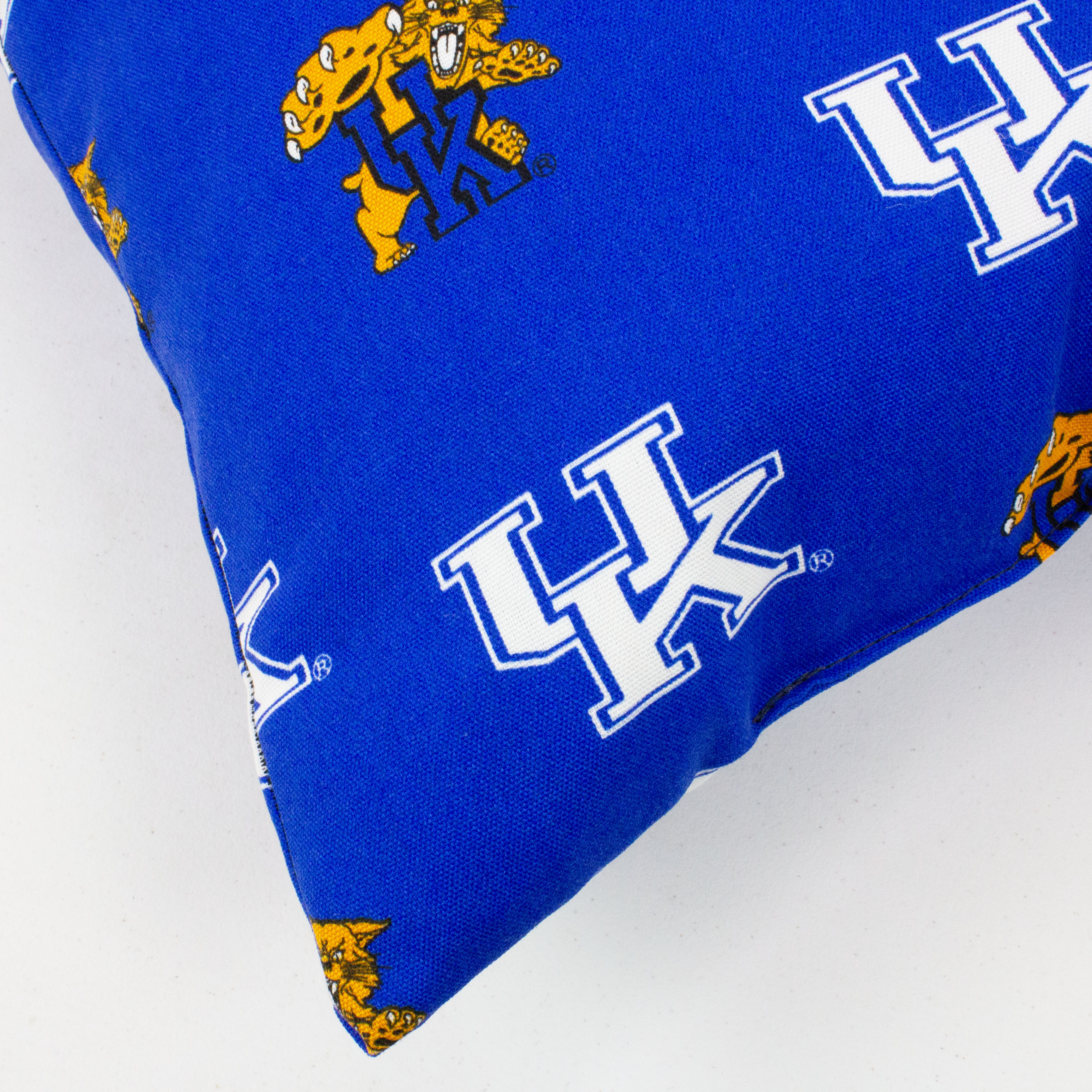 Kentucky Wildcats College Covers Indoor or Outdoor Decorative Pillow 16 in x 16 in