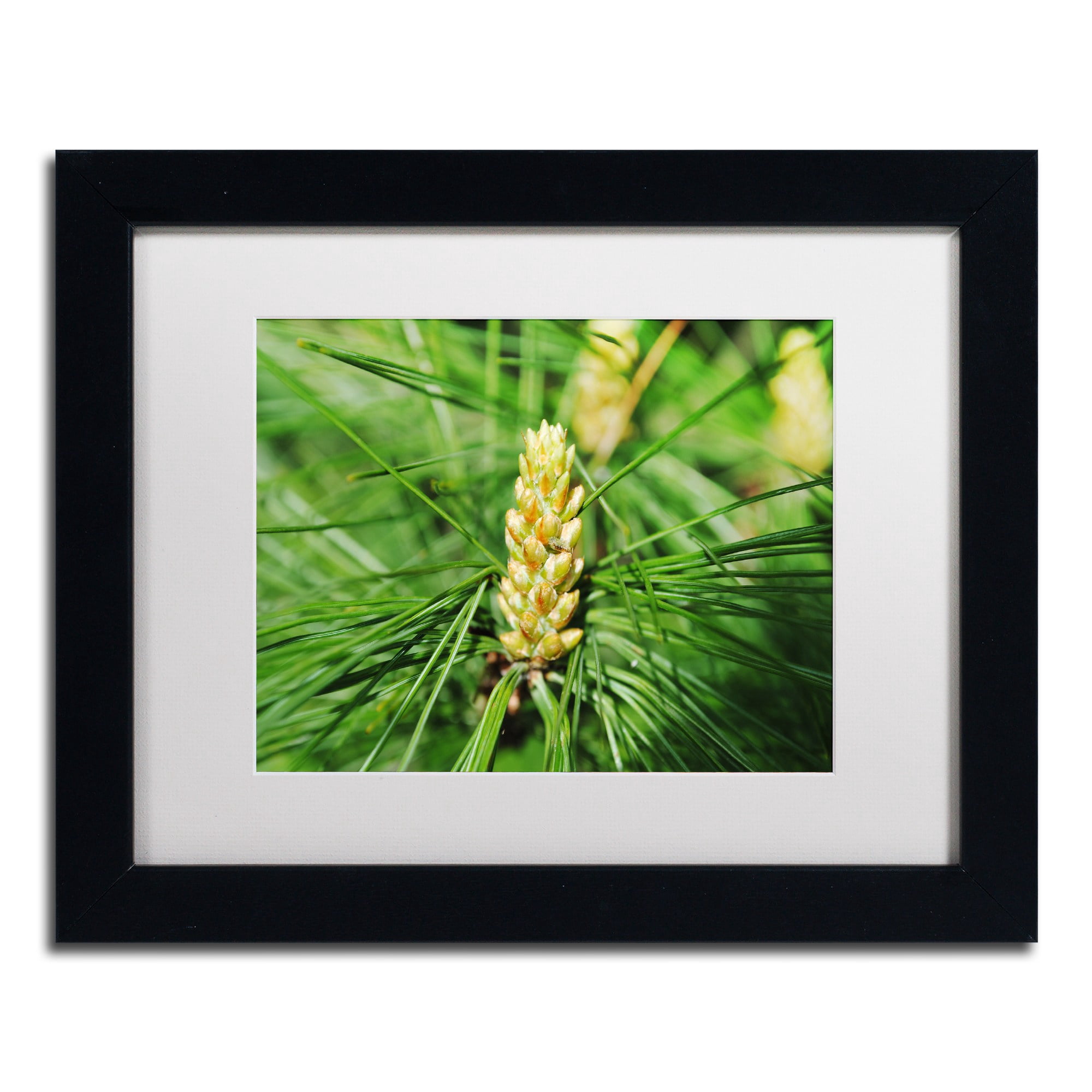 Trademark Fine Art "The Start" Canvas Art by Monica Mize, White Matte, Black Frame