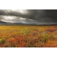 thumbnail image 2 of Posterazzi DPI12290660 A Storm Passes Over The Bright Colors of Autumn in Denali National Park & Preserve Alaska Poster Print by Carl Johnson, 19 x 12, 2 of 4