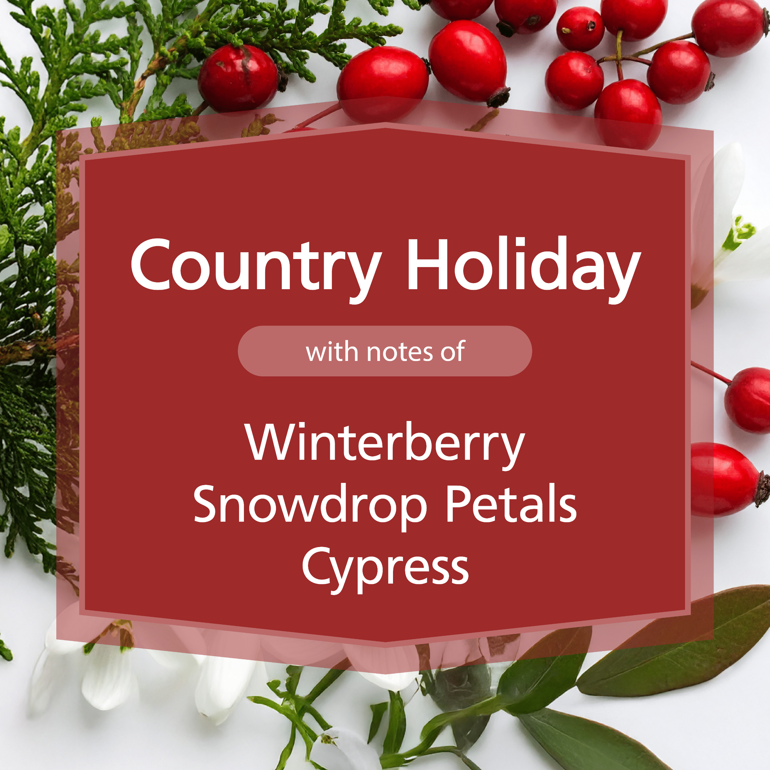 Mainstays 1-Wick Glass Jar Candle, Umm You're Really Hard to Shop For, Country Holiday Scent, 7 oz