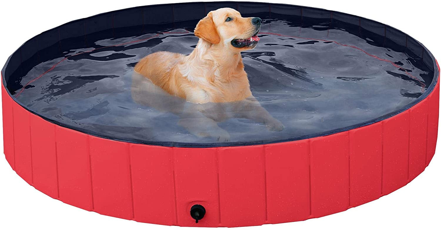 hard plastic dog pool