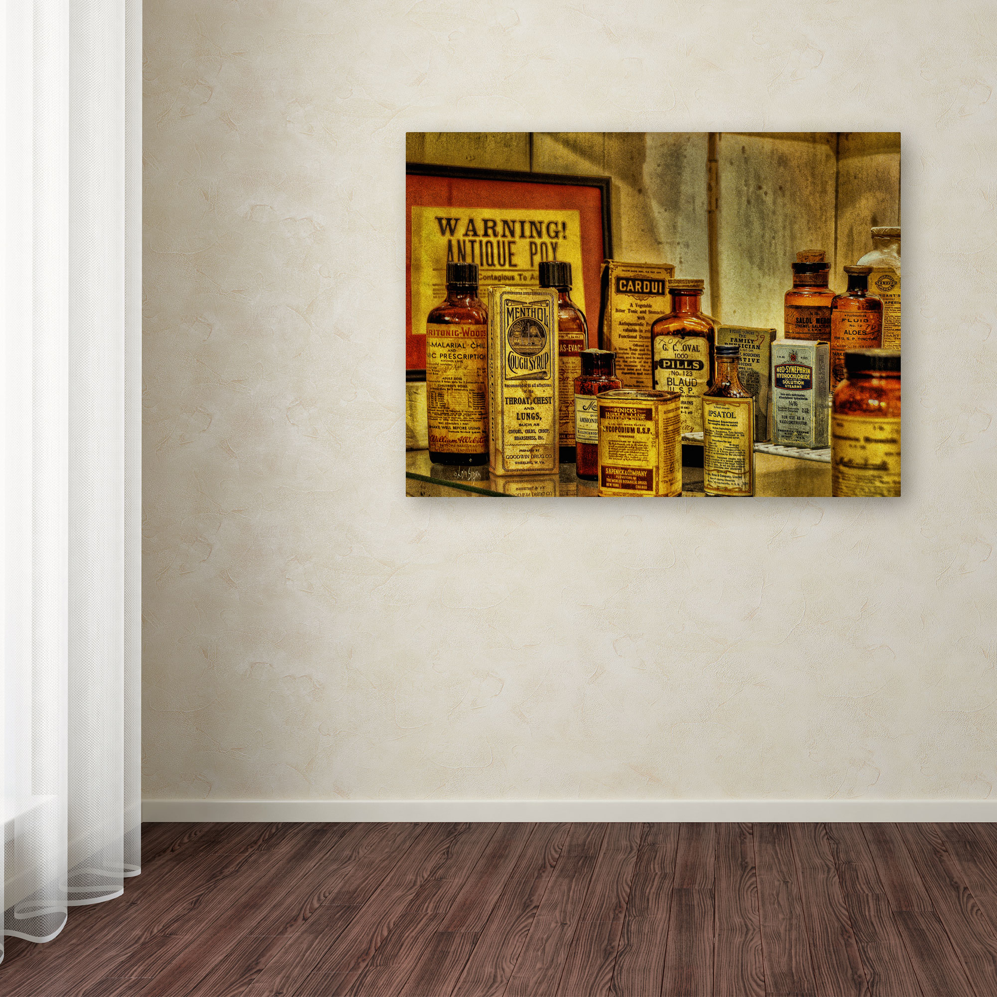 Trademark Fine Art "Vintage Medicines" Canvas Art by Lois Bryan
