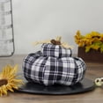 thumbnail image 2 of 6.5" Black and White Plaid Stacked Fall Harvest Tabletop Pumpkin, 2 of 3