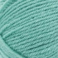 thumbnail image 2 of Lion Brand Wool-Ease Yarn - Succulent, 2 of 3