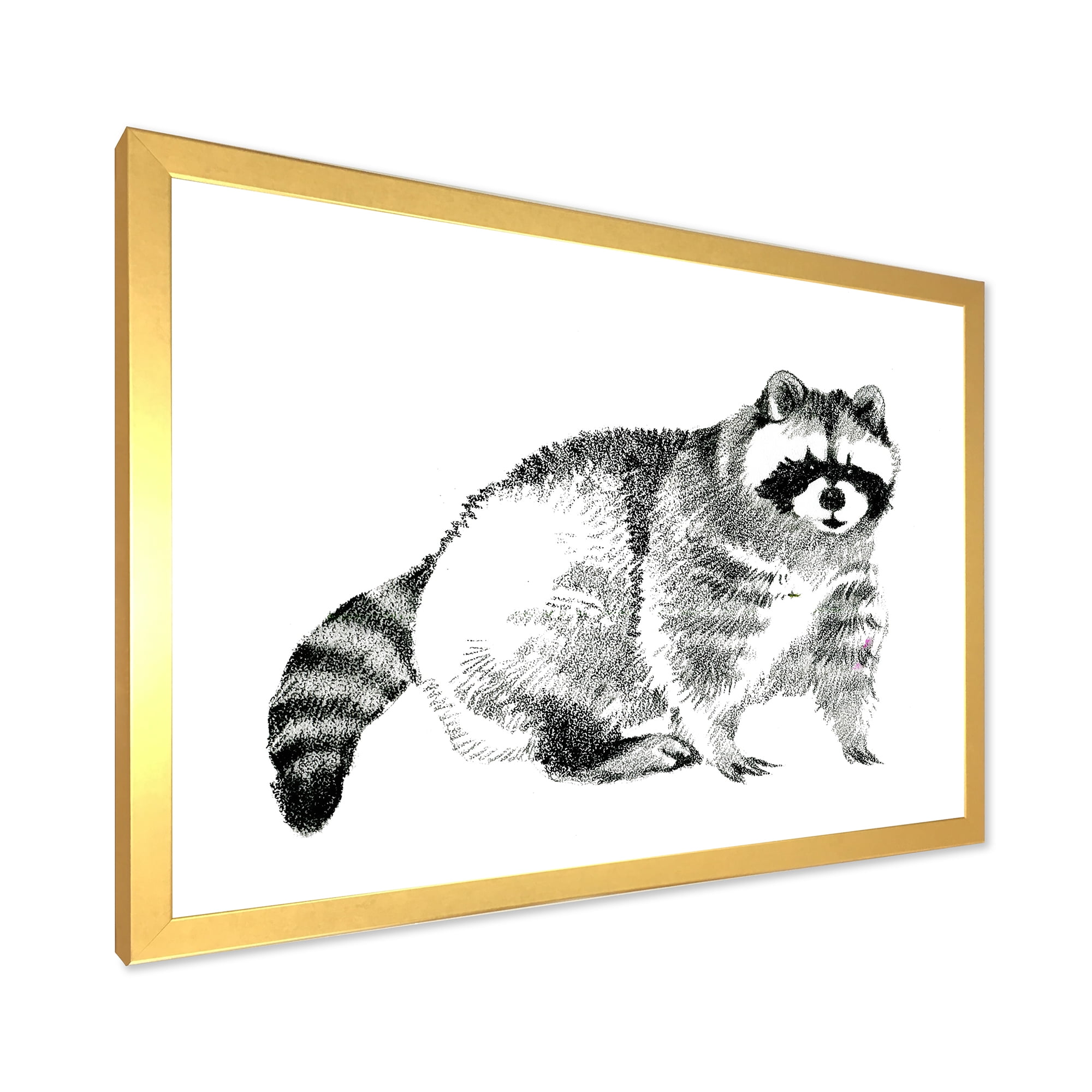 Designart 'Black and White Portrait Of Raccoon' Farmhouse Framed Art Print