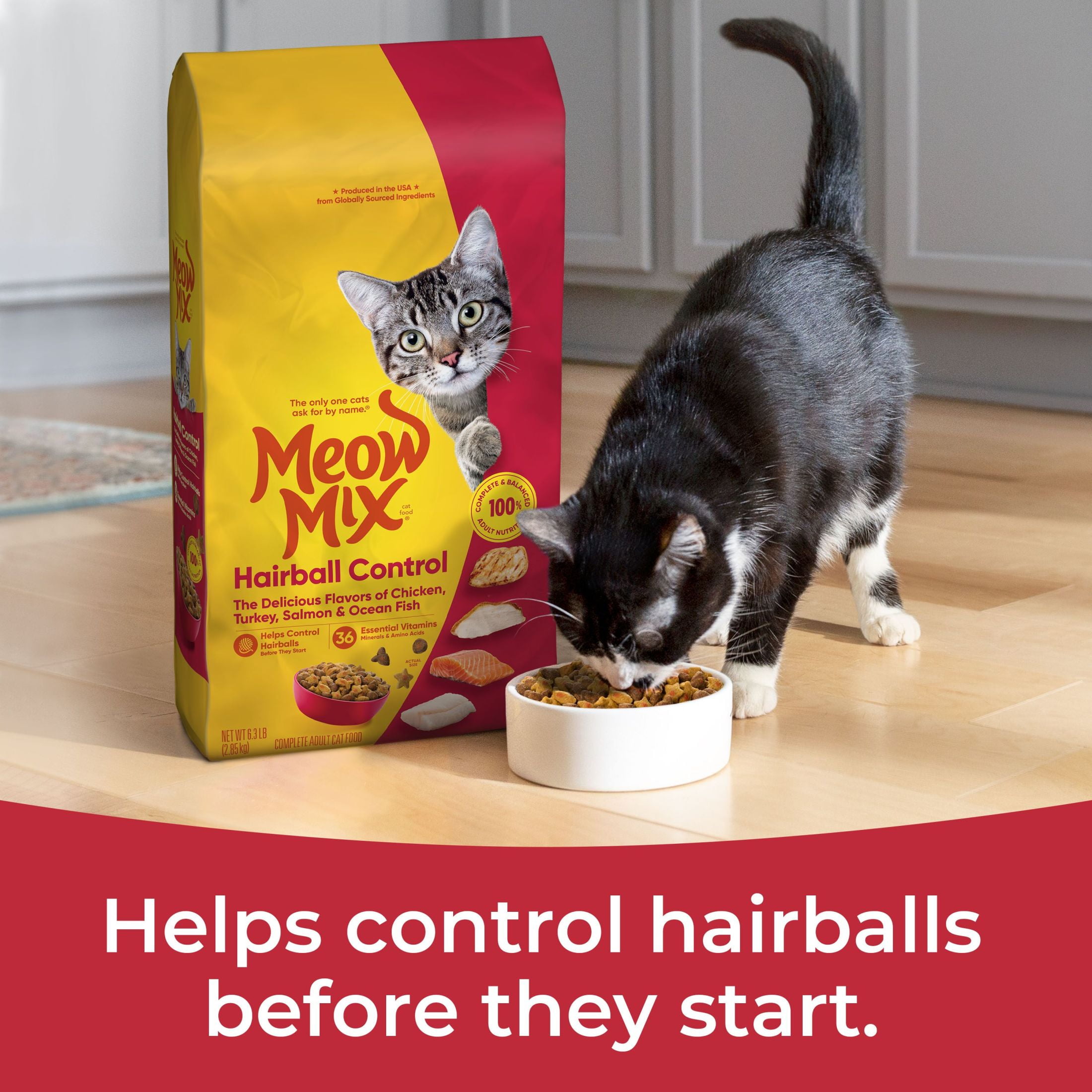 (4 pack) Meow Mix Hairball Control Dry Cat Food for Adult Cat, 6.3 lb. Bag