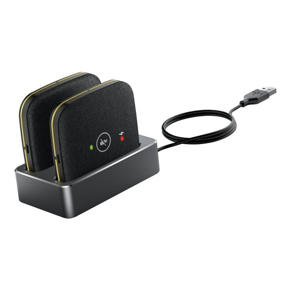 CPW65-DECT-DUO, WIRELESS EXPANSION MIC. AUDIO INPU