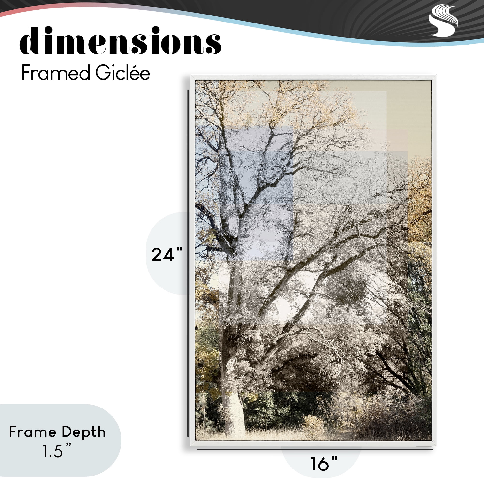 Stupell Industries Tree Collage Layers White Framed Giclee Art, design by Gemma Bardot