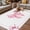 Light Pink, variant on Valentine's Day Outdoor Rug for Patio/Deck/Porch, Non-Slip Large Area Rug 3 x 5 Ft, Pink Bowknot Ribbon on Black Mother's Day Indoor Outdoor Rugs Washable Area Rugs, Camping Rug Carpet Runner