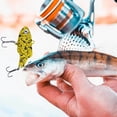 thumbnail image 2 of Lipless Crankbait – Unique Flat Back Design for Enhanced Vibration & Thud Sound, 2 of 4