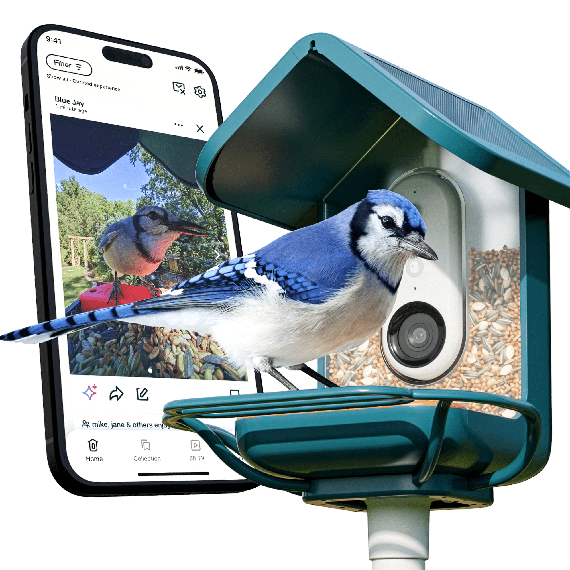 Bird Buddy Smart Wifi Bird Feeder with Camera, AI Bird Identification, Solar Powered Weatherproof, HD Video, Includes Blue Perch Extender
