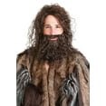 thumbnail image 1 of Prehistoric Caveman's Beard and Wig, 1 of 2