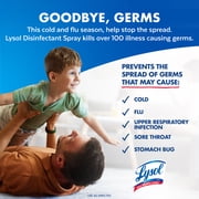 Lysol Disinfectant Spray, Sanitizing and Antibacterial Bathroom Spray, Deodorizer, Crisp Linen, 19 oz (Pack of 2)