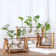thumbnail image 4 of KA Transparent Vase For Terrarium Hydroponic Plant Glass Table Plant Vase Decor, 4 of 9
