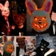 thumbnail image 3 of Máscara de Halloween,Máscara de Conejo Animal Realista,Bloody Bunny Mask,Máscara aterradora de conejo para Halloween,Máscara Divertida para Halloween Carnaval Fiesta de Disfraces, 3 of 5