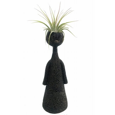 Black Ceramic Vase - Thinkers Ceramic Vase with Living Air Plant - Black - 2