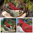 thumbnail image 2 of Bird Stepping on Branch Ornaments Red Cardinal Statue Decorative, 2 of 5