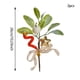 thumbnail image 3 of Recortes Simulados De Plástico Ramas de árbol de Navidad con campanas decorativas, Rkxzt, 3 of 8