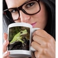 thumbnail image 2 of 3drose, Green Tree Frog, Hyla Cineria - Na02 Aje0364 - Adam Jones, 11oz Mug, 2 of 6