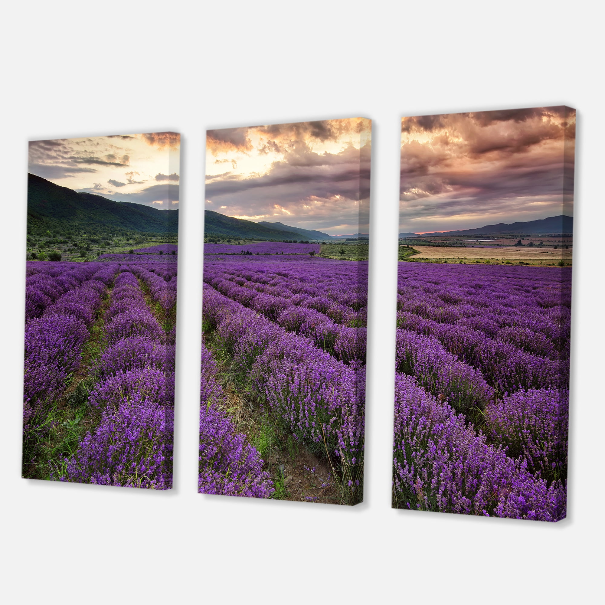 Designart ' Lavender Field At Sunrise I ' Farmhouse Canvas Wall Art Print
