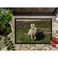 thumbnail image 3 of Carolines Treasures FRF0018MAT Yellow & Black Labradors Indoor or Outdoor Mat, 18 x 27, 3 of 4