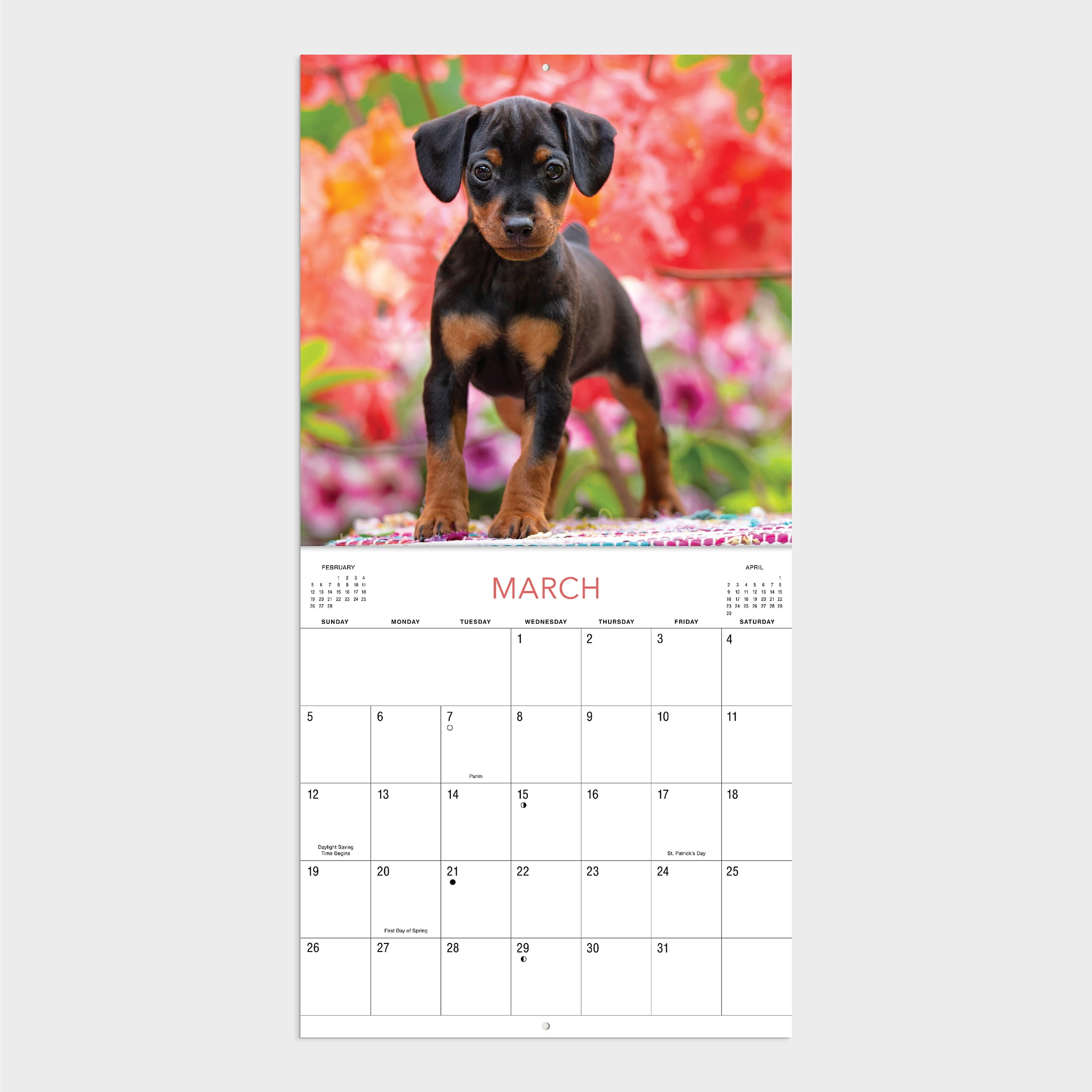2023-12 Month Calendar-Puppies 12x12 Hanging Wall Calendar by DaySpring