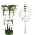 thumbnail image 2 of Soporte para flores de vid trepadora para plantas, tubo de fibra de vidrio, anillo de hierro, Pilar, Luna, temporada de flores, 2 of 4