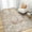 Beige, variant on SIXHOME 8'x10' Area Rugs for Living Room Washable Rug Vintage Medallion Living Room Rug Distressed Soft Carpet Large Area Rugs for Bedroom Dinning Room Office Indoor Retro Home Decor Taupe