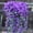 Purple, variant on 33" Artificial Silk Orchid Bouquet Pick, , Artificial Orchid Flowers Stems, 1pcs Faux Silk Flower for Wedding/Home Decor/Indoor,Outdoor Hanging Decoration