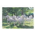 thumbnail image 3 of White Horse Placemats Set of 6 Coffee Mats, Non Slip Backing 18x12 Inch for Home and Restaurants, 3 of 9