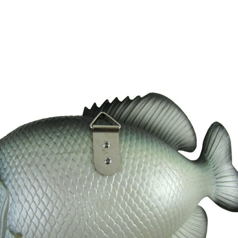 Taxidermy Art Supply - Fish Tool Box