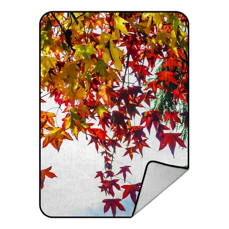 - YKCG Autumn Prime Trees Red and Yellow Maple Leaves Blanket Crystal Velvet Front and Lambswool Sherpa Fleece Back Throw Blanket 58x80inches