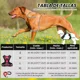 thumbnail image 4 of Pechera Para Perro Arnés Ajustable Reflectantes Con Correas, 4 of 8