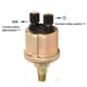 thumbnail image 3 of Sensor de presión de aceite 1/8NPT sensor de presión de aceite del generador de doble cabezal dorado mate 0-10bar para laboratorios ANGGREK Otros, 3 of 8
