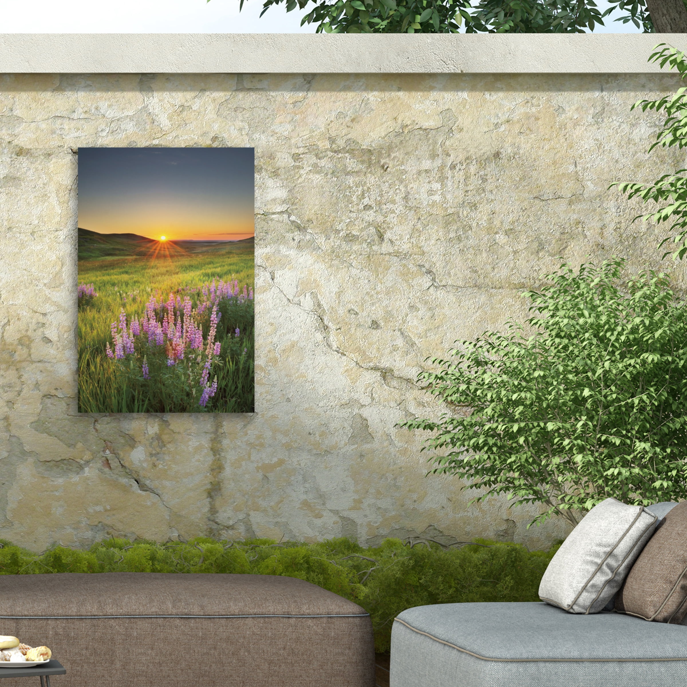 Alan Majchrowicz 'Prairie Sunrise' Outdoor Canvas 19x16