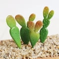 thumbnail image 3 of DOLITY Artificial Plastic Plants Landscape Cactus Flower Home Decor #4 #4 4 4 4 Pieces 9.5 x 2cm, 3 of 7