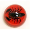 Ed Speldy East SS107 Large Dome Paper Weight with Real Black Scorpion in Acrylic Red Background