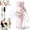 Pink, variant on 2-in-1 Water Bottle with Built-In Foldable Fan, Portable Dual-Drinking Cooling Water Bottle with Fan 3 Speeds USB-C,Leakproof Flip Lid Straw Cup for Office Travel Gym & Outdoor Sports