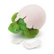 GeoCentral Tortoise Hatch 'Ems Egg Toy