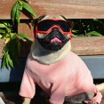 thumbnail image 2 of Dog Goggles Breed, Dog Sunglasses For Breed Uv Protection Eyewear For Small Middle Dog, 2 of 5