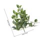 thumbnail image 5 of unbranded 1Ud Colgante Decorativo De Simulación De Rattan Verde Para Puertas Y, 5 of 6