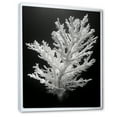 thumbnail image 2 of Designart "Oceanic Bliss In The Harmony Of Staghorn Coral" Coastal Coral Under Water Floater Framed Canvas Wall Art, 2 of 5