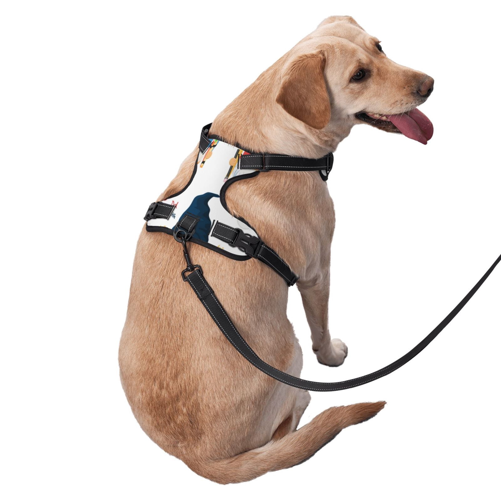 Vsdgher School Cute Gnomes Dog Harness, No-Pull Pet Harness, Dog Vest, Pet Vest for Small to Large Dogs-Medium