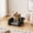 Black, variant on High-Sided Dog Potty Tray with Splash Guard, Easy-Clean Indoor Pet Toilet for Puppies and Small Dogs, Odor-Control Training Pan for Home Use, Black, Dog